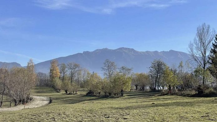 Conacul Boieresc Conacul Boieresc